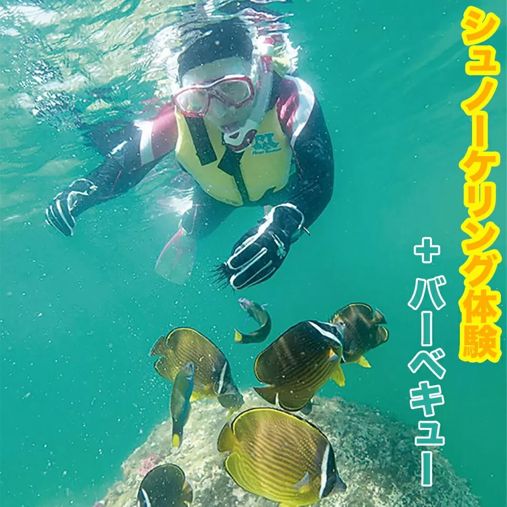 シュノーケリング体験（BBQケータリング付き） N002-YD0112