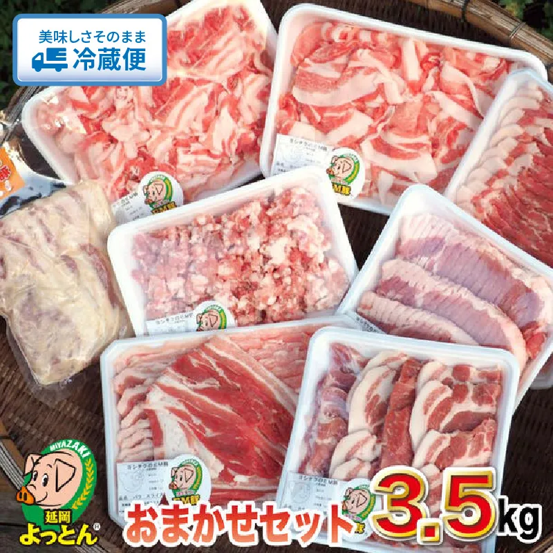 延岡よっとん おまかせセット N003-YD0248