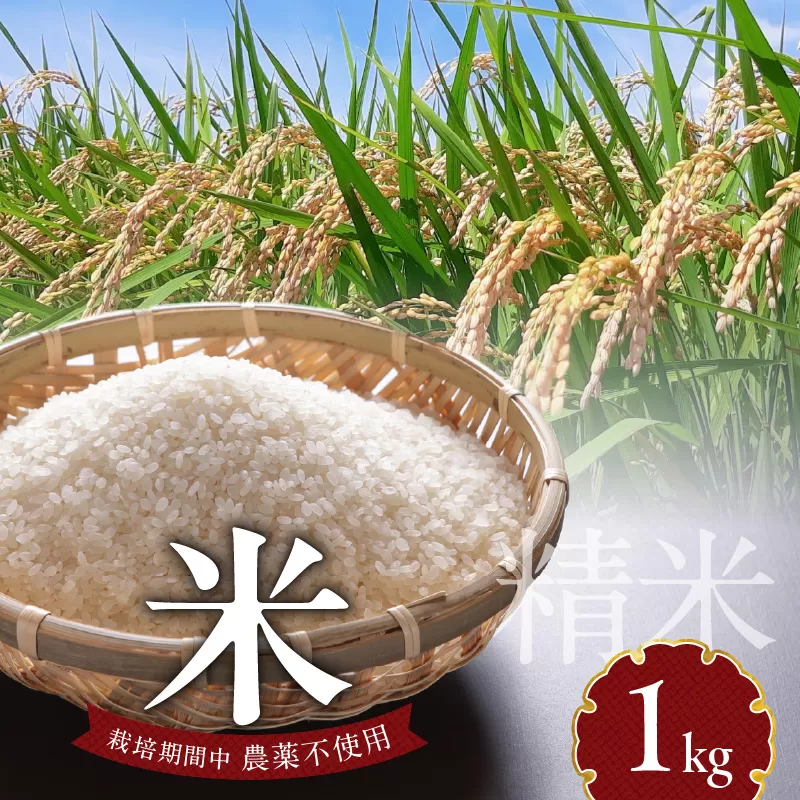 米 1kg N0182-YA0507