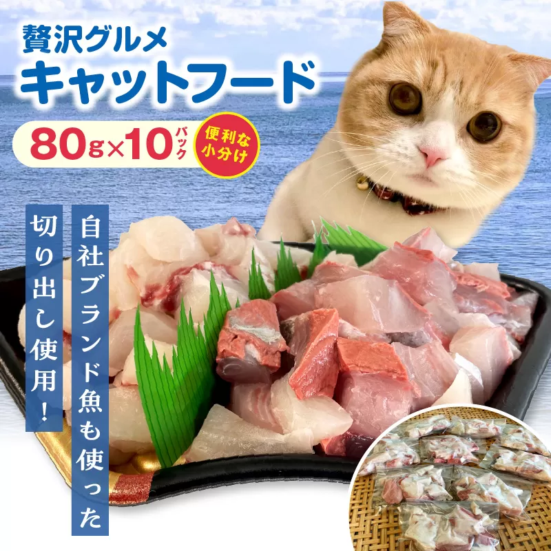 【至福の海の恵み】贅沢グルメキャットフード　N072-YA0398