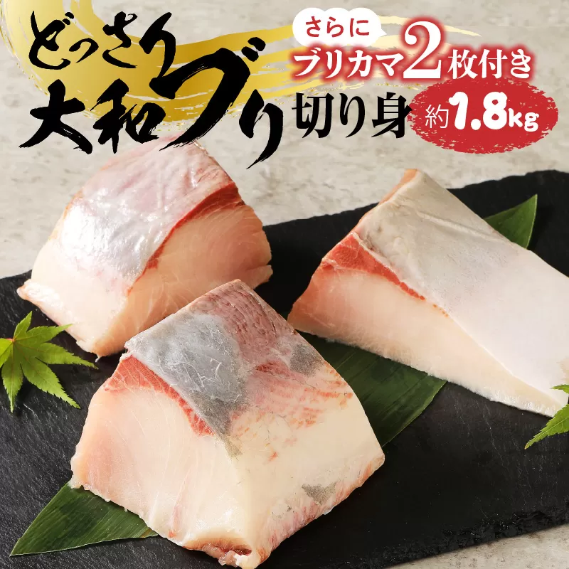 どっさり大和ブリ切り身 N072-YC118