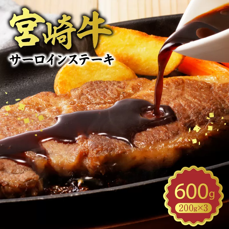 宮崎牛 サーロインステーキ600g N0140-YB727