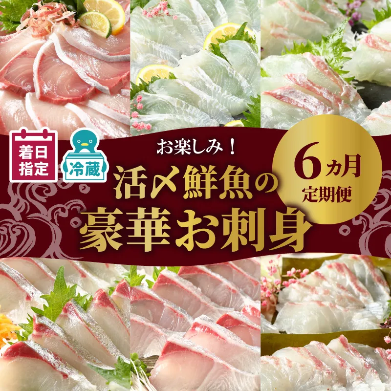 【お楽しみ定期便】延岡産活〆鮮魚の豪華お刺身(6ヶ月定期便) N019-YF073