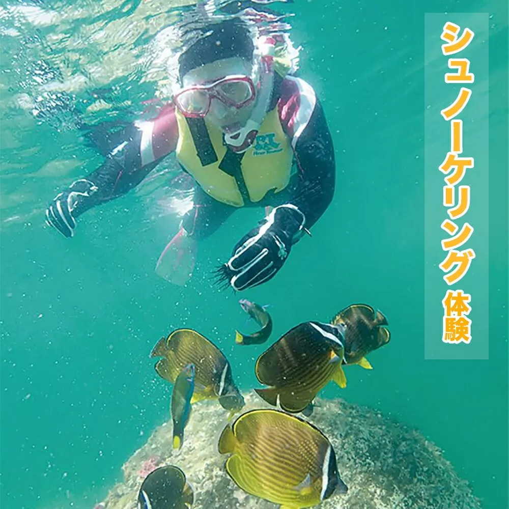 シュノーケリング体験 N002-YB714