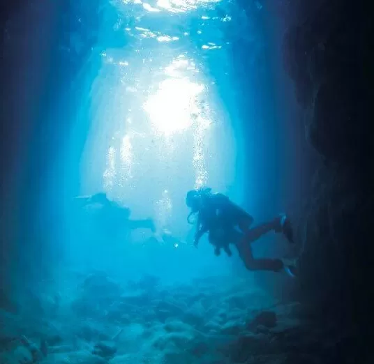 スキューバダイビング体験＋ＢＢＱケータリング N002-YZE001