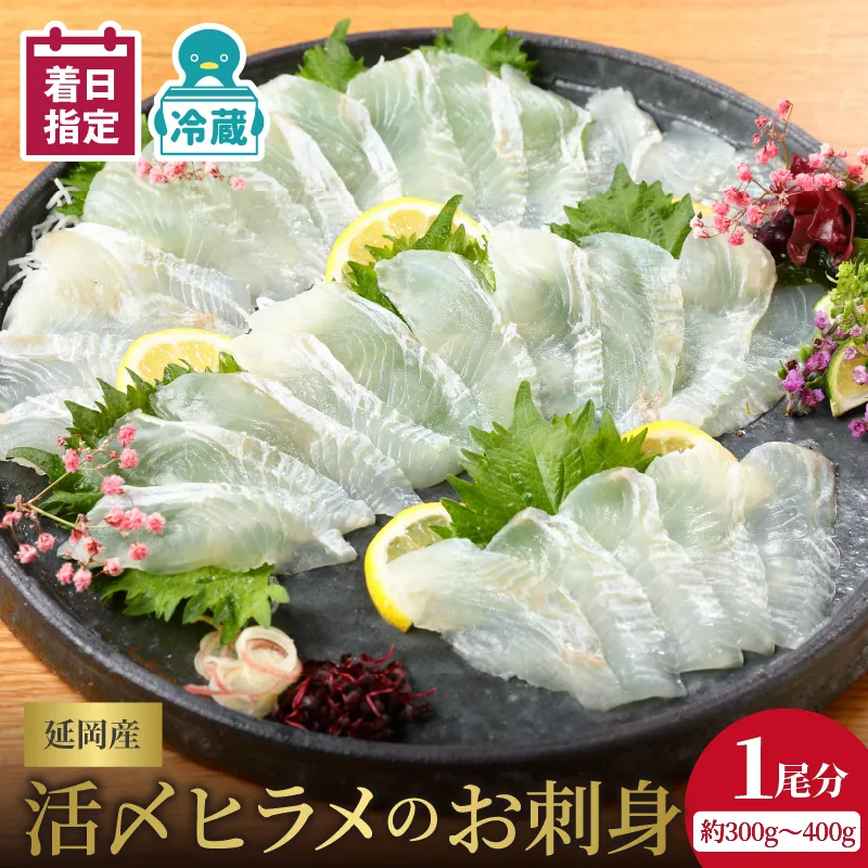 【冷蔵】縁側も美味！延岡産活〆ヒラメのお刺身 N019-YA852