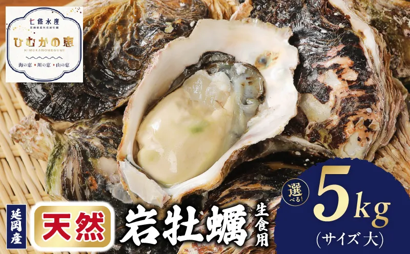 延岡産天然岩牡蠣(生食用)5kg(大)(2026年4月15日から発送開始)N036-YB307