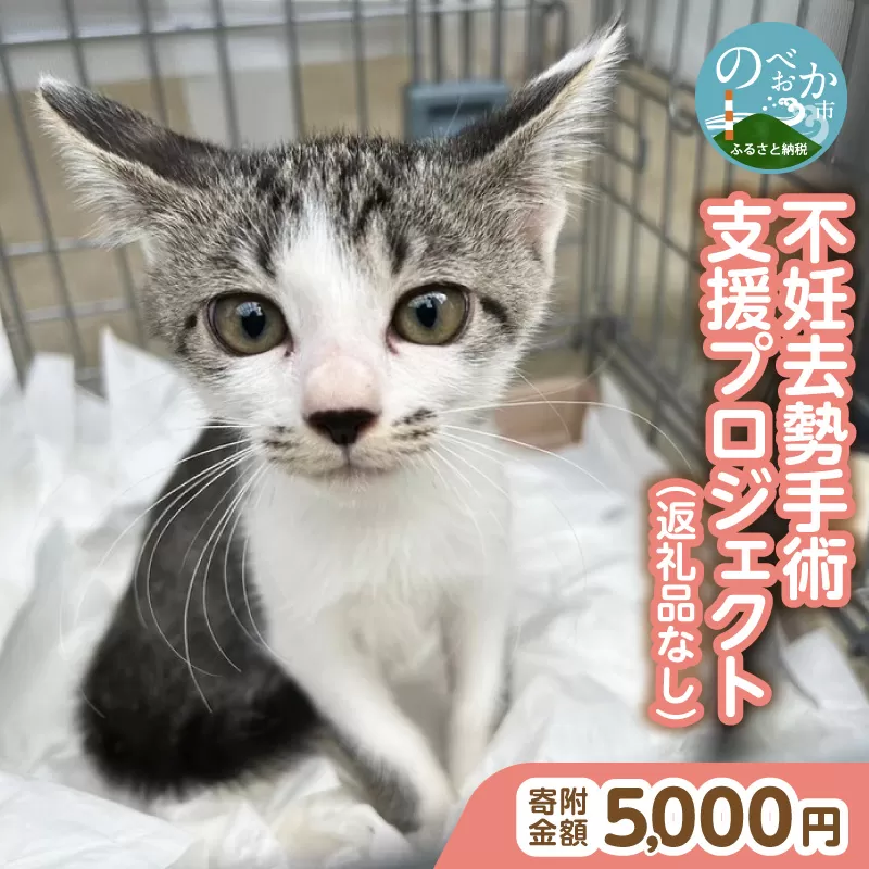 人と猫が互いに幸せになれるまちを目指して『不妊去勢手術支援プロジェクト』（返礼品はありません） N0159-9999993