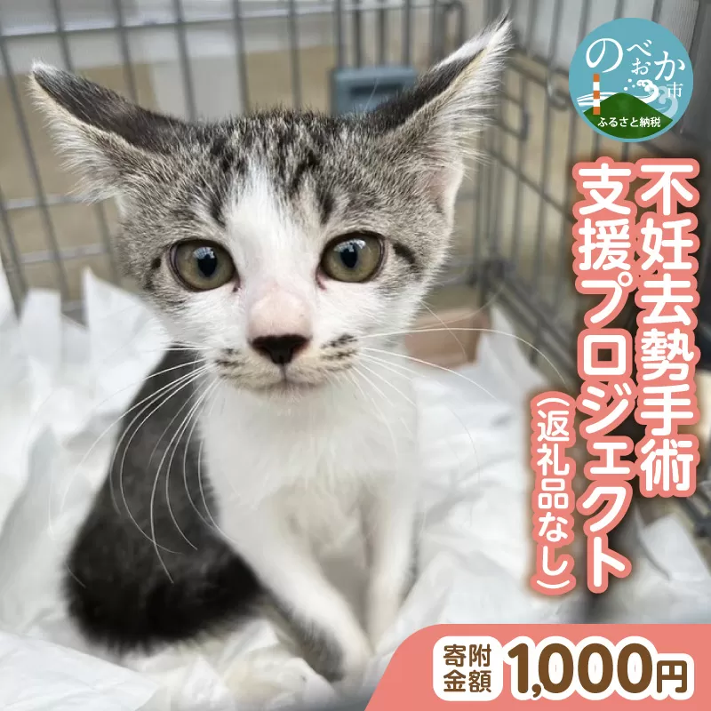 人と猫が互いに幸せになれるまちを目指して『不妊去勢手術支援プロジェクト』（返礼品はありません） N0159-9999997