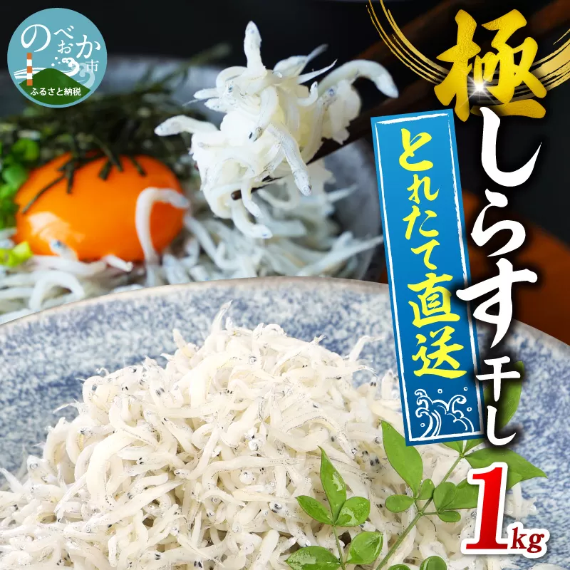【とれたて直送】極しらす干し 1kg N065-YA4442