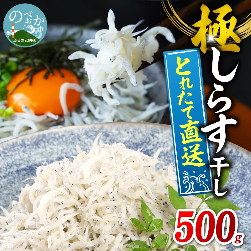 【とれたて直送】極しらす干し 500g N065-YA0509
