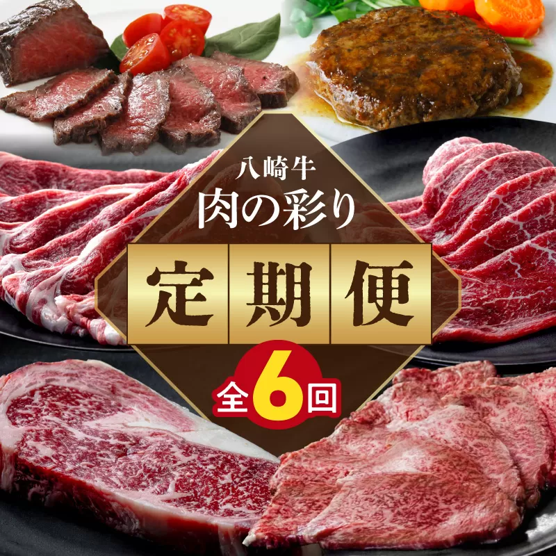 肉の彩り6ヶ月定期便 N0105-YF103