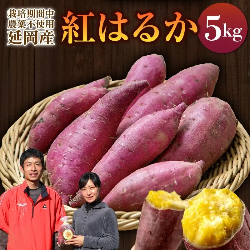 さつまいも 紅はるか 5kg　N063-YA3385