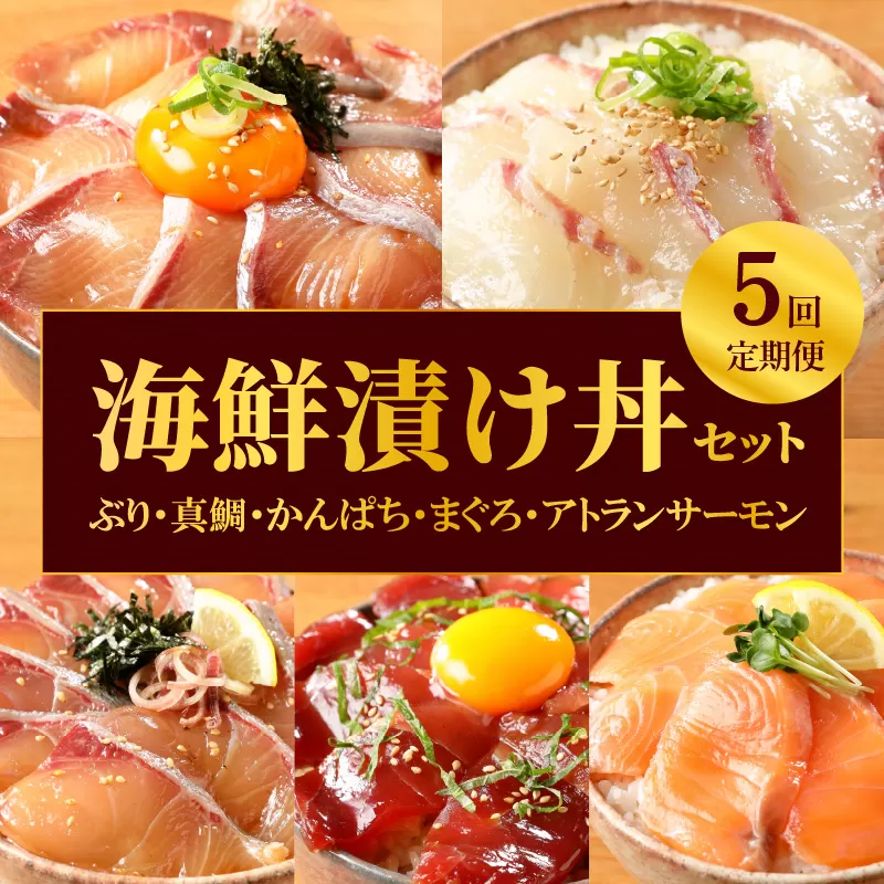 お魚の漬け丼バラエティ5回定期便 N019-YE097