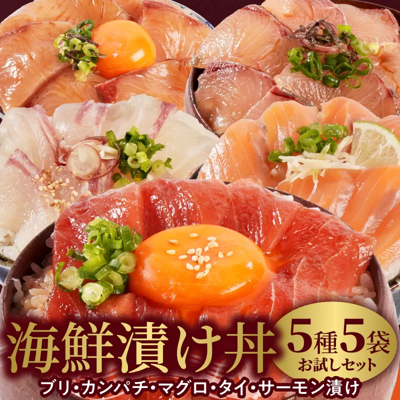 【冷凍】海鮮漬け丼5種お試しセット N019-YA192