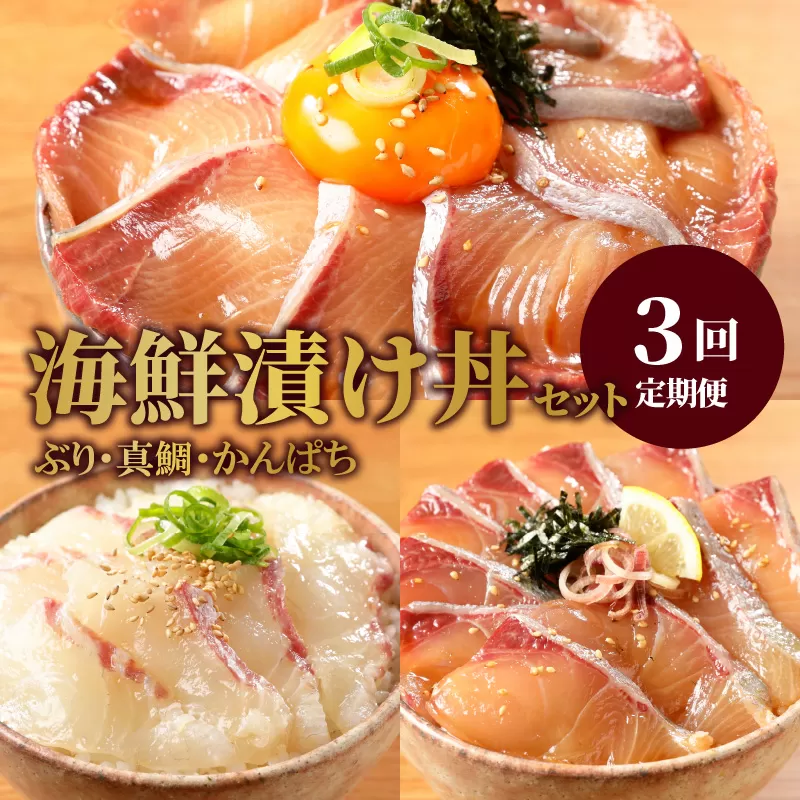 お魚の漬け丼バラエティ3回定期便 N019-YC712
