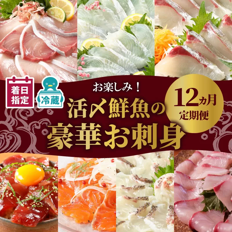 【お楽しみ定期便】延岡産活〆鮮魚の豪華お刺身（12ヶ月定期便）N019-YYG0191