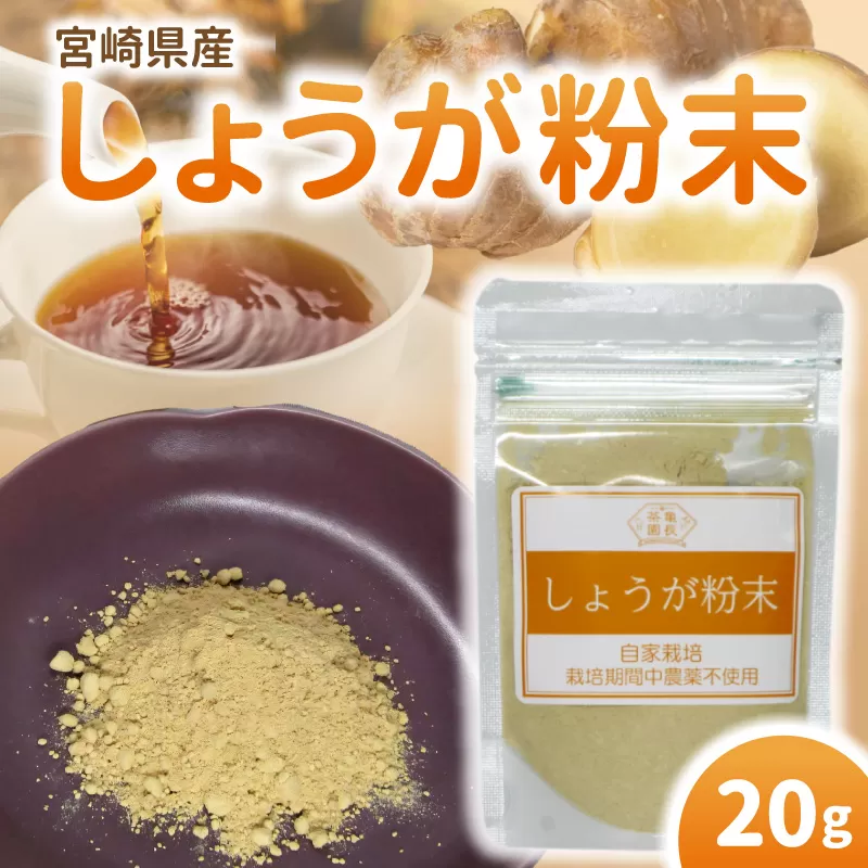 しょうが 粉末 N048-YA0494