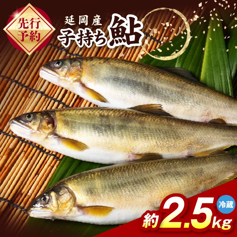 【先行予約】2026年10月下旬より発送開始【冷蔵】子持ち鮎約2.5kg N070-YC425-1