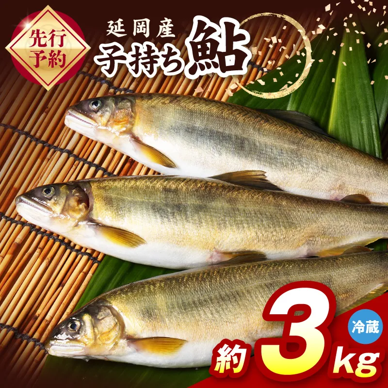 【先行予約】2026年10月下旬より発送開始【冷蔵】子持ち鮎約3kg N070-YD0265-1
