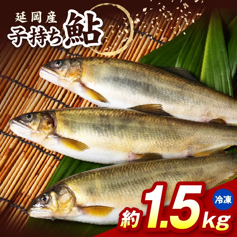 【冷凍】子持ち鮎約1.5kg N070-YB1106-2