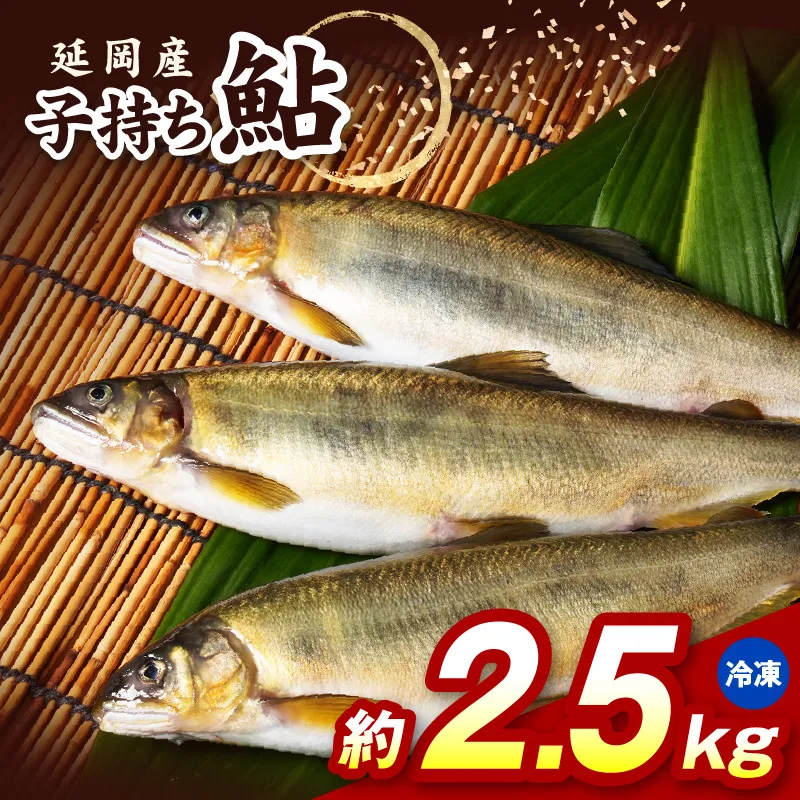 【冷凍】子持ち鮎約2.5kg N070-YC425-2