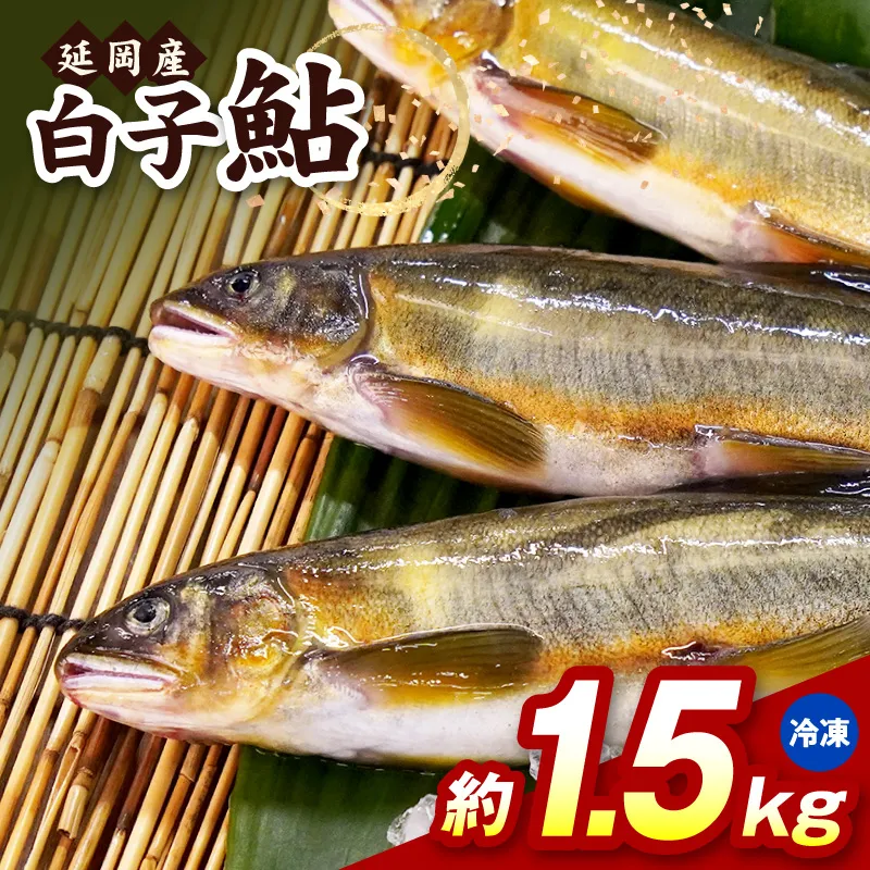 【冷凍】白子鮎約1.5kg N070-YA865-2