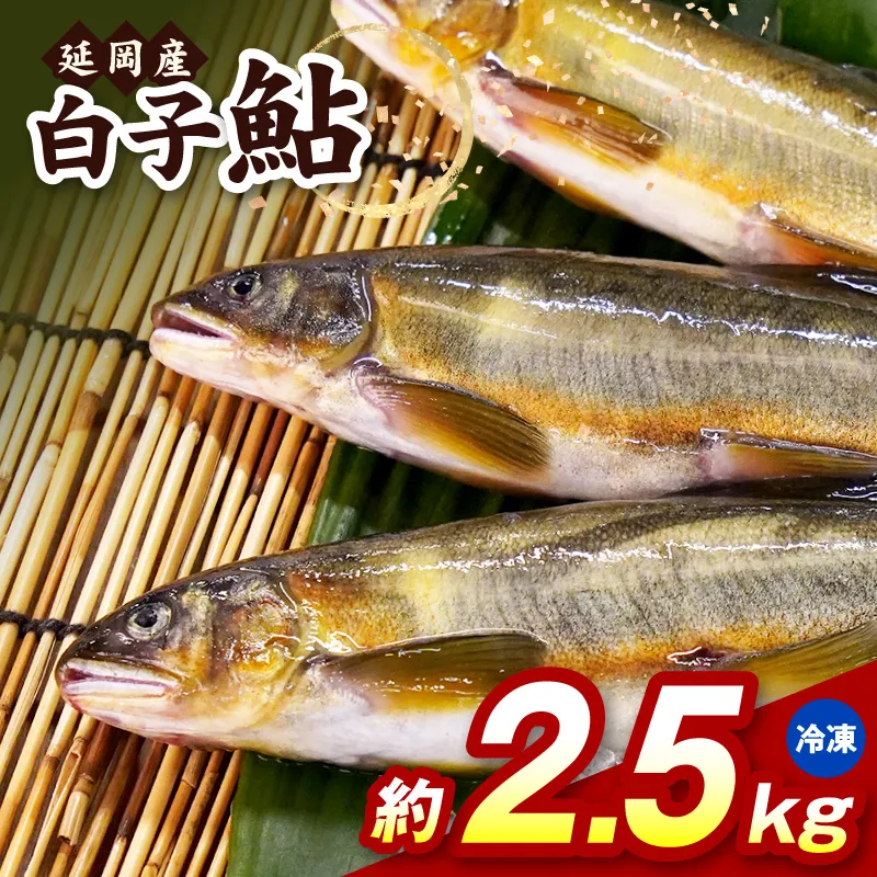 【冷凍】白子鮎約2.5kg N070-YB926-2