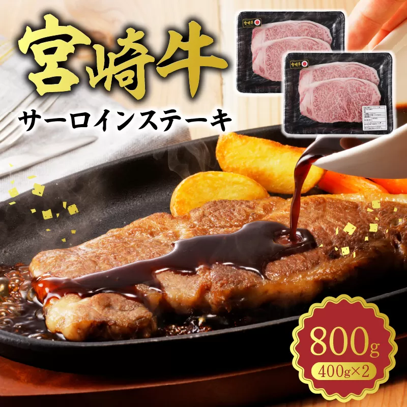 宮崎牛 サーロインステーキ800g N0140-YC527