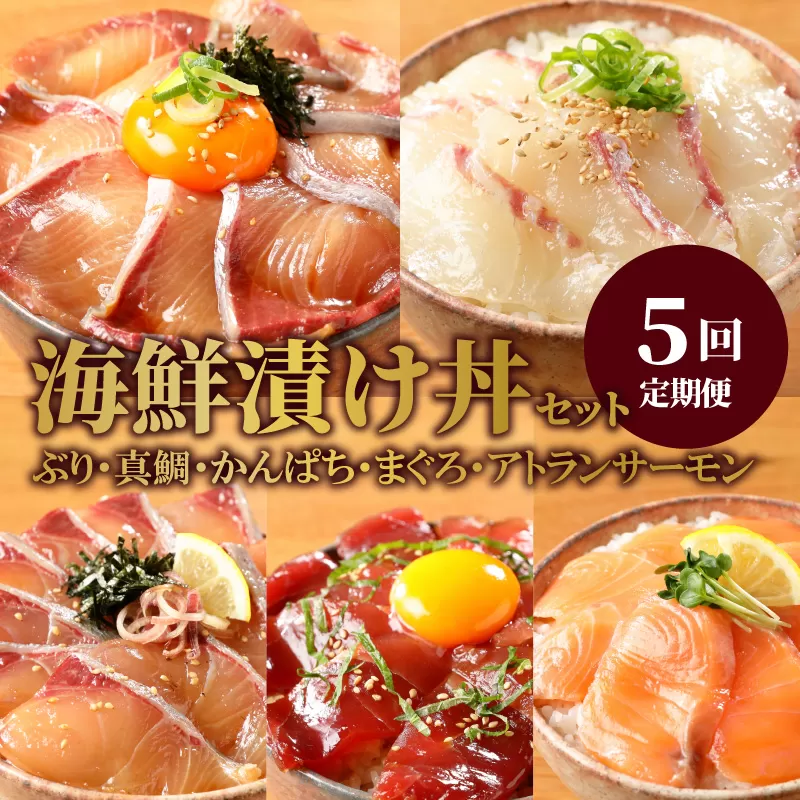 お魚の漬け丼バラエティ5回定期便 N019-YE097