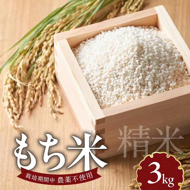 もち米3kg N0182-YA198