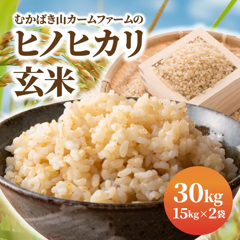 雪さん専用 玄米30キロ なつほのか 2袋