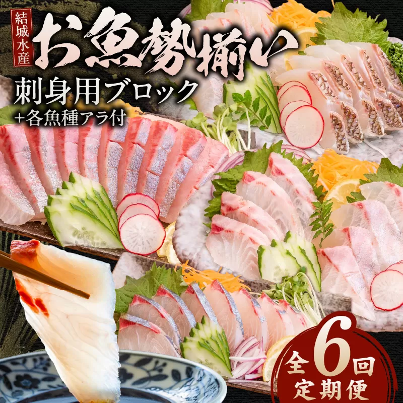 【6ヶ月定期便】(冷蔵)結城水産のお魚勢ぞろい!お刺身用ブロック N015-YF092