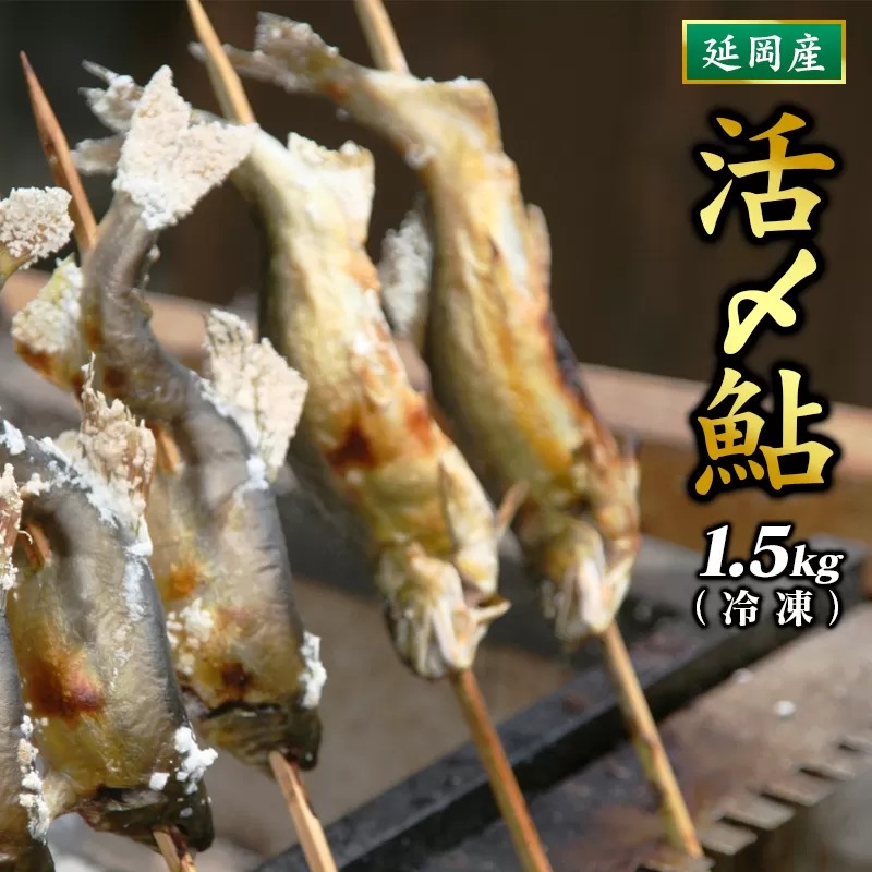 延岡どれ鮎（冷凍）1.5kg N017-YZA174