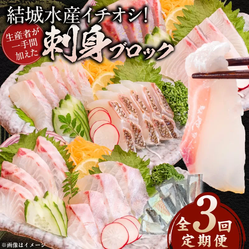 【3ヶ月定期便】(冷凍)結城水産イチオシ！生産者が一手間加えた刺身ブロック N015-YD0240