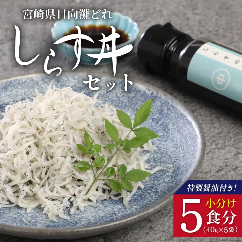 しらす丼セット(40g×5袋)特製醤油付き N065-YA0221