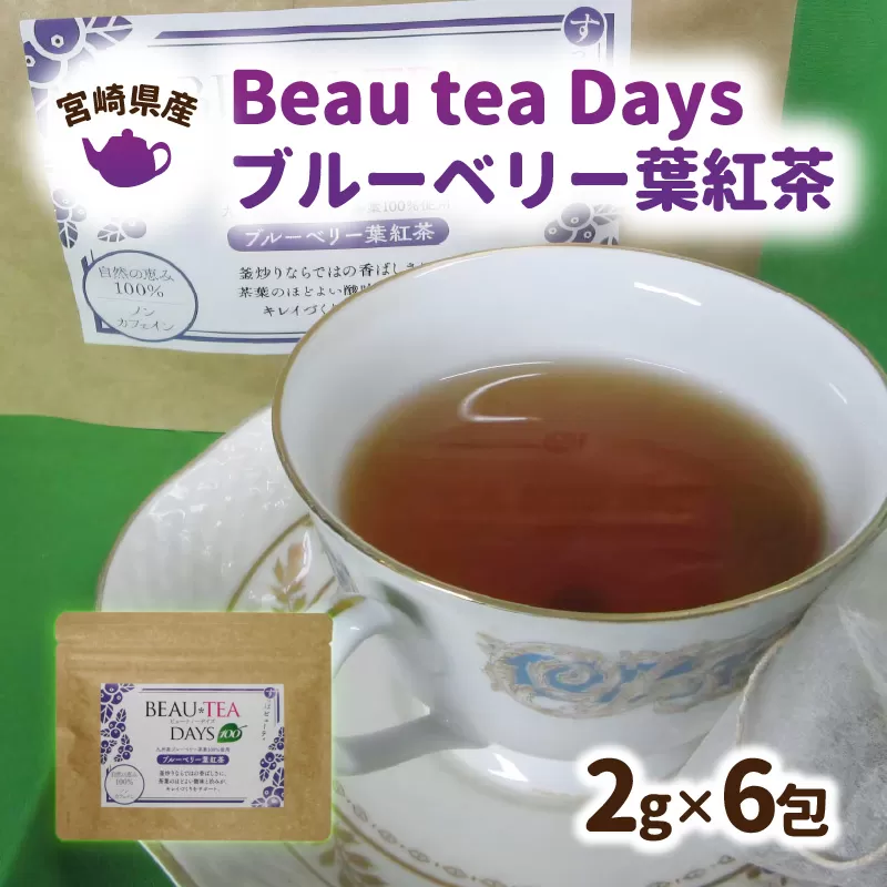 Beau tea Days ブルーベリー葉 紅茶　N048-YZA096