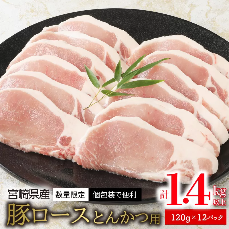 宮崎県産豚ﾛｰｽとんかつ用120g×12ﾊﾟｯｸ計1.4kg以上 N124-YZA2230