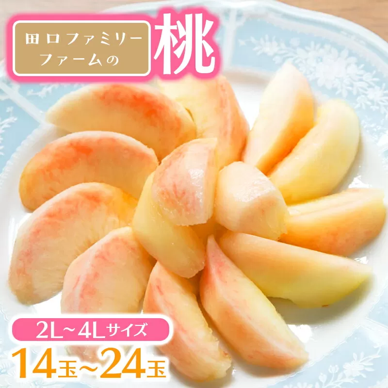 【田口ﾌｧﾐﾘｰﾌｧｰﾑ】旬の桃 2L～4L(14～24玉)(2025年6月中旬発送開始) N053-YZB710