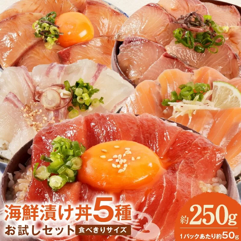 【冷凍】海鮮漬け丼5種お試しセット N019-YA192