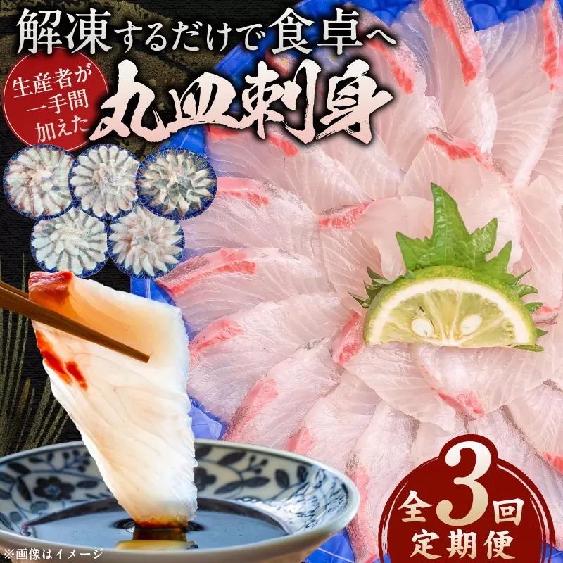 【3ヶ月定期便】(冷凍)解凍するだけで食卓へ！生産者が一手間加えた丸皿刺身 N015-YD0238