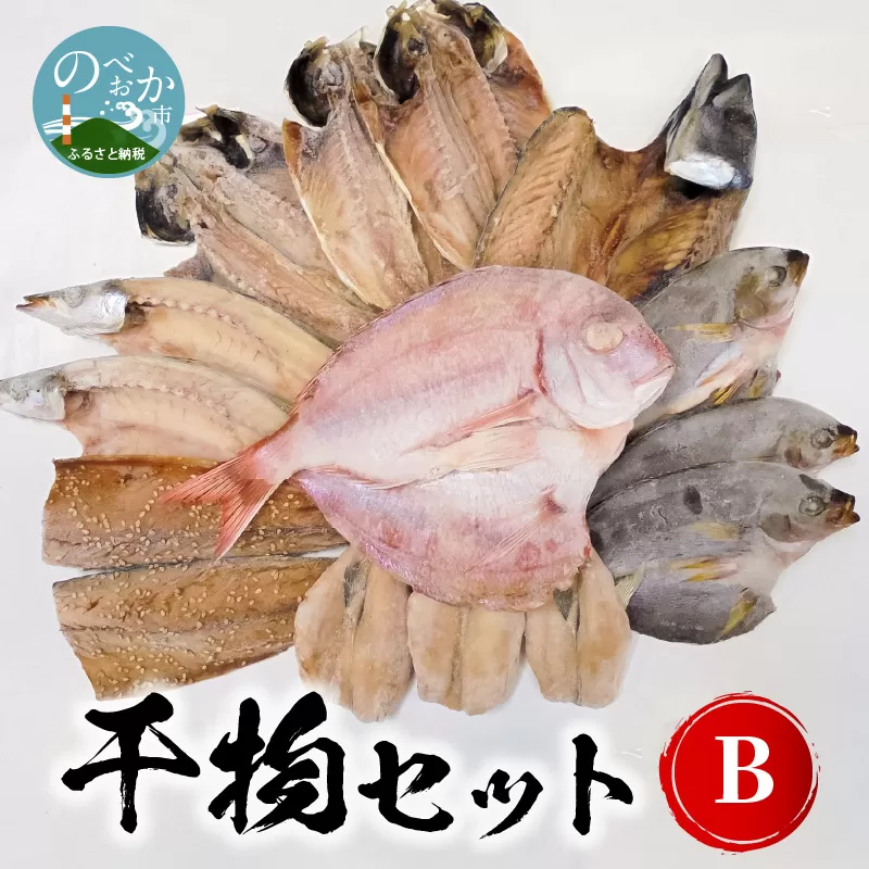 干物セットB N014-YZB240