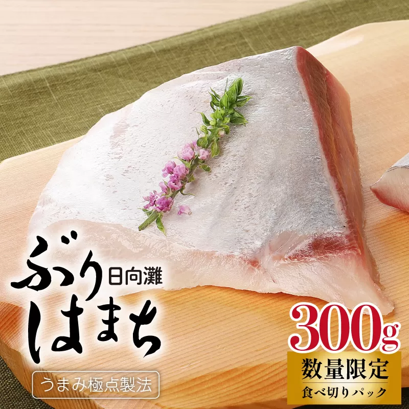 数量限定日向灘ぶり(はまち)うまみ極点製法食べきりﾊﾟｯｸ300g N124-YZA3304