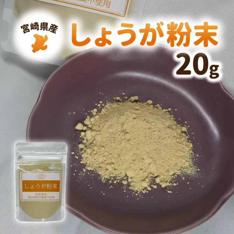 しょうが 粉末 N048-YA0494