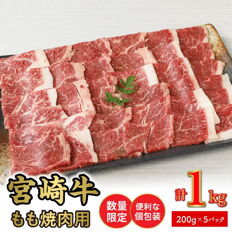 <数量限定・便利な個包装>宮崎牛もも焼肉用200g×5袋計1kg N124-YZC043