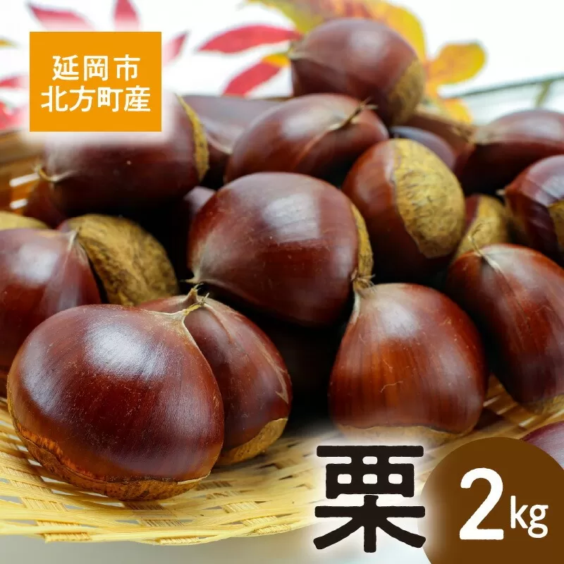 【先行予約】延岡市北方産 栗2kg(2025年8月下旬より発送開始) N048-YA2260