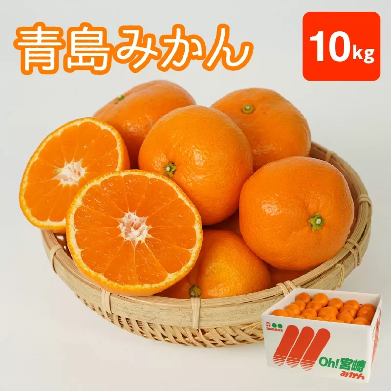 青島みかん 10kg N0132-YB351