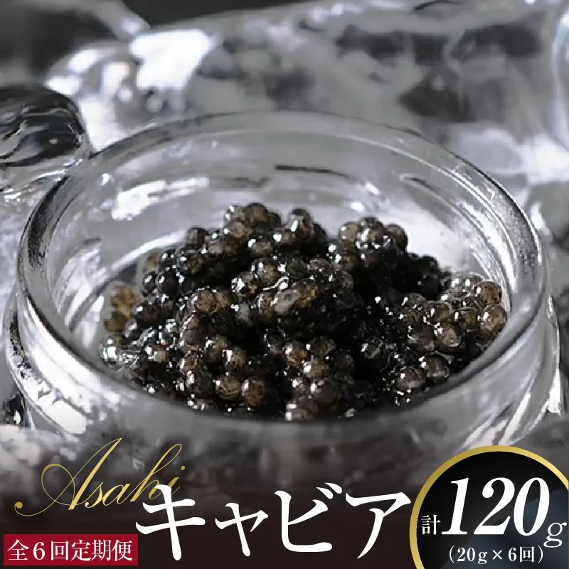 ASAHIキャビア20g×6ヶ月定期便 N032-YZG020