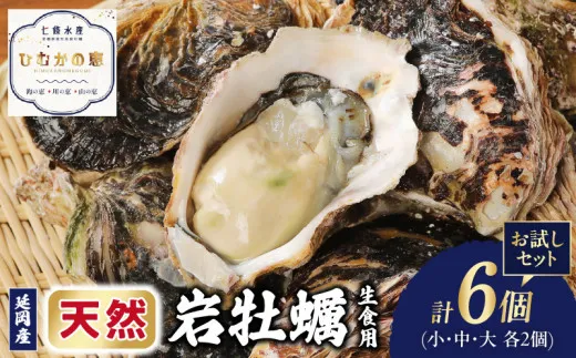 天然岩牡蠣お試しセット(大・中・小サイズ)各2個 N036-YA0382