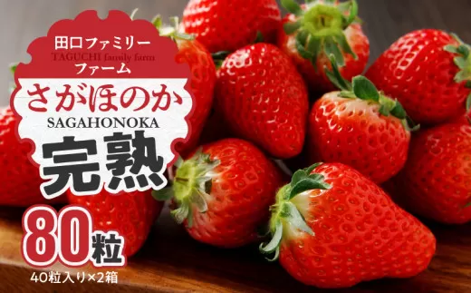 【田口ファミリーファーム】いちご(さがほのか) 40粒入り×2箱(1月中旬発送開始) N053-YB337